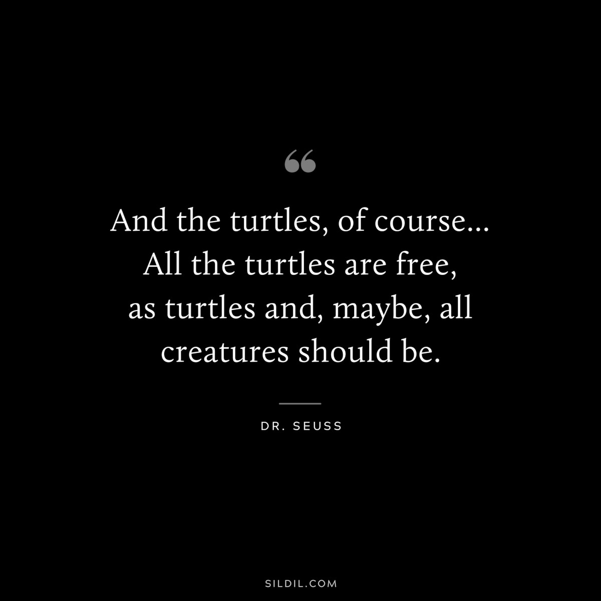 And the turtles, of course... All the turtles are free, as turtles and, maybe, all creatures should be. ― Dr. Seuss