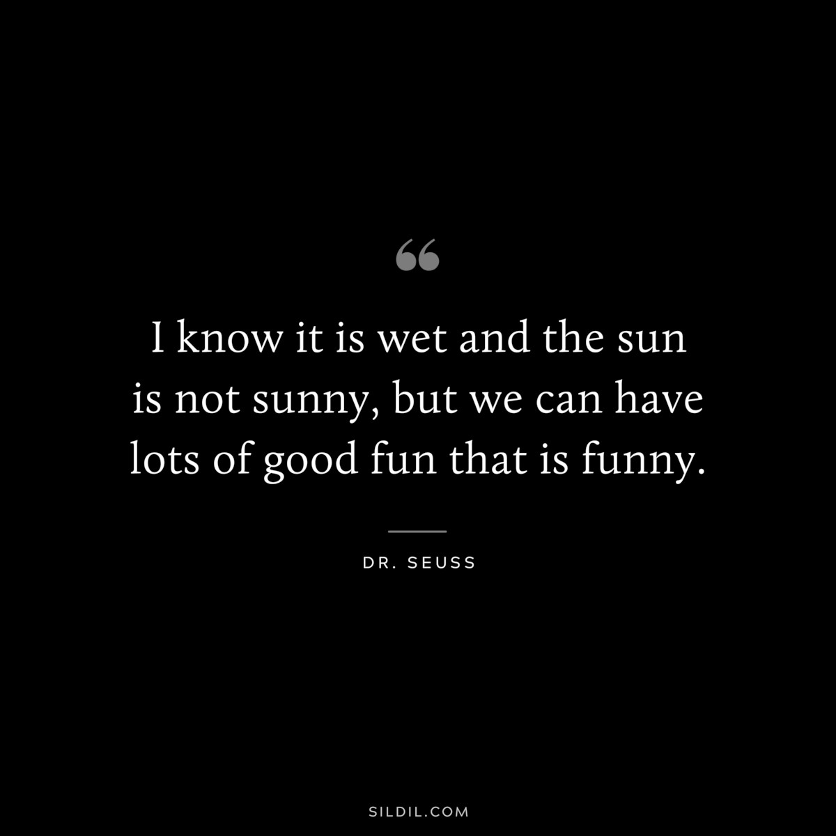 I know it is wet and the sun is not sunny, but we can have lots of good fun that is funny. ― Dr. Seuss
