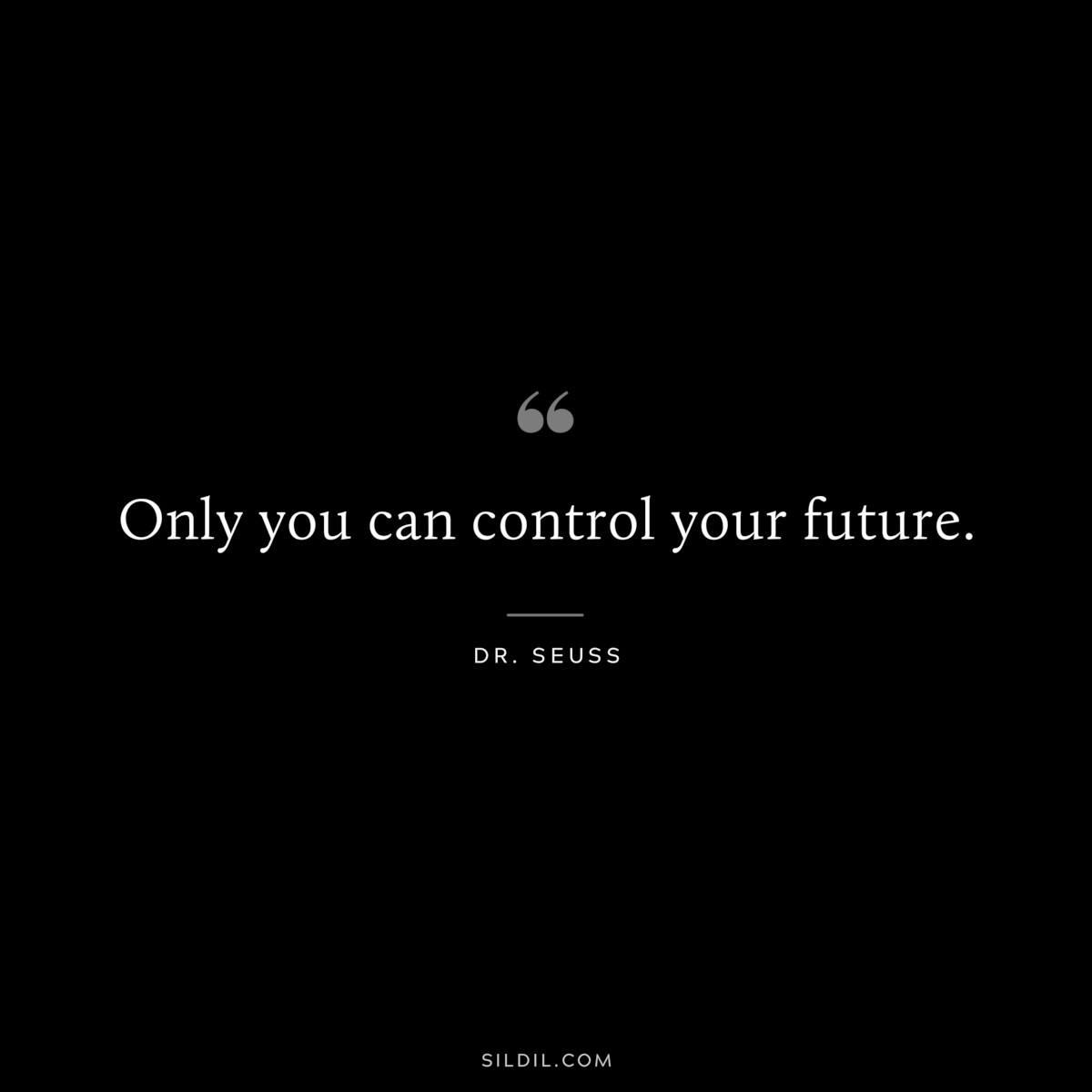 Only you can control your future. ― Dr. Seuss