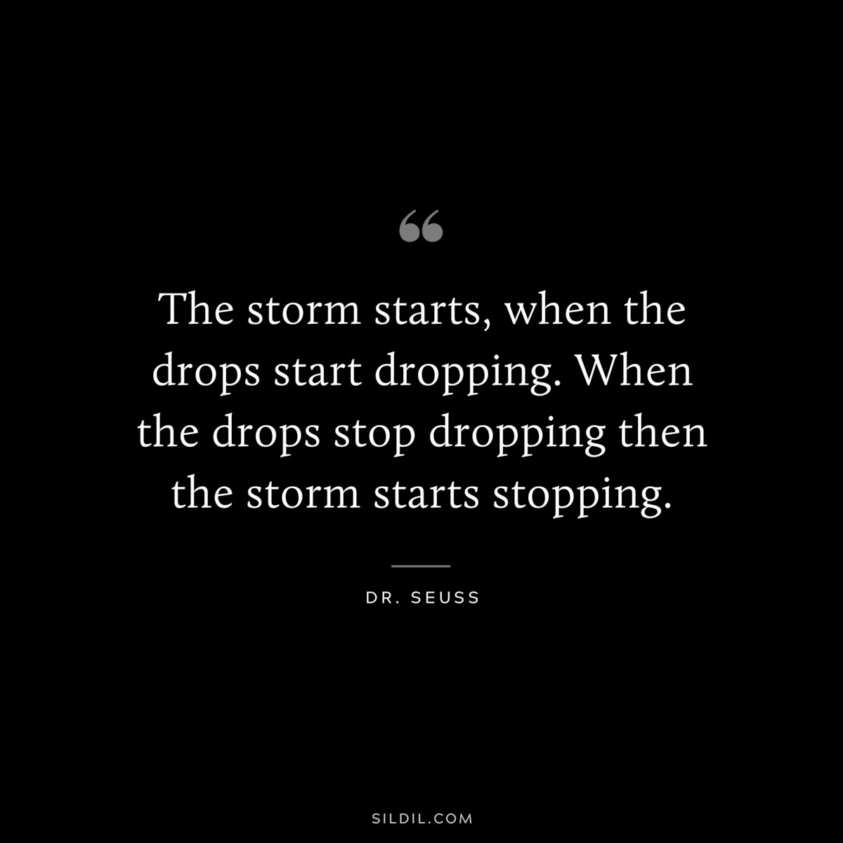 The storm starts, when the drops start dropping. When the drops stop dropping then the storm starts stopping. ― Dr. Seuss