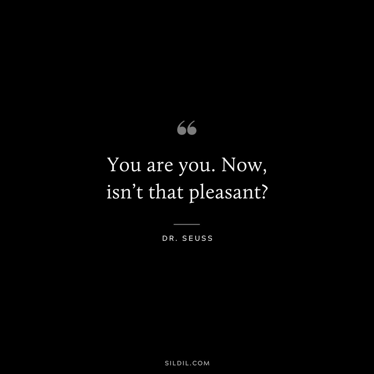 You are you. Now, isn’t that pleasant? ― Dr. Seuss