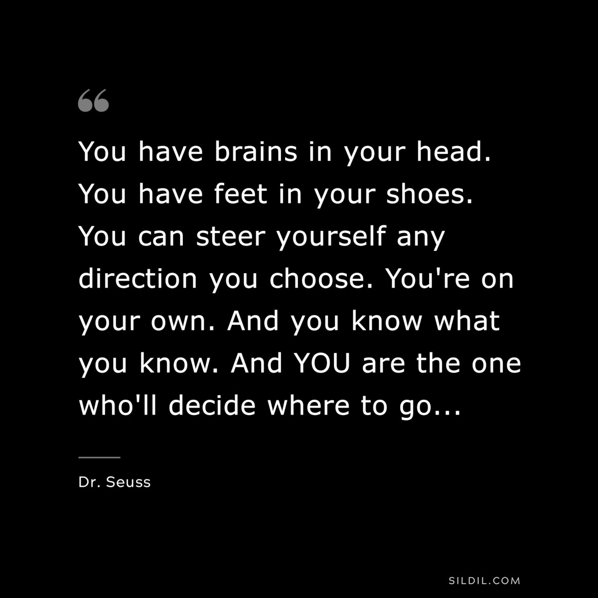 You have brains in your head. You have feet in your shoes. You can steer yourself any direction you choose. You're on your own. And you know what you know. And YOU are the one who'll decide where to go... ― Dr. Seuss