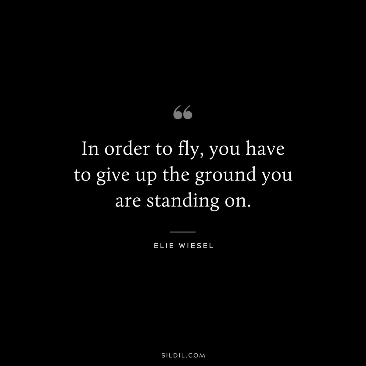 In order to fly, you have to give up the ground you are standing on. ― Elie Wiesel