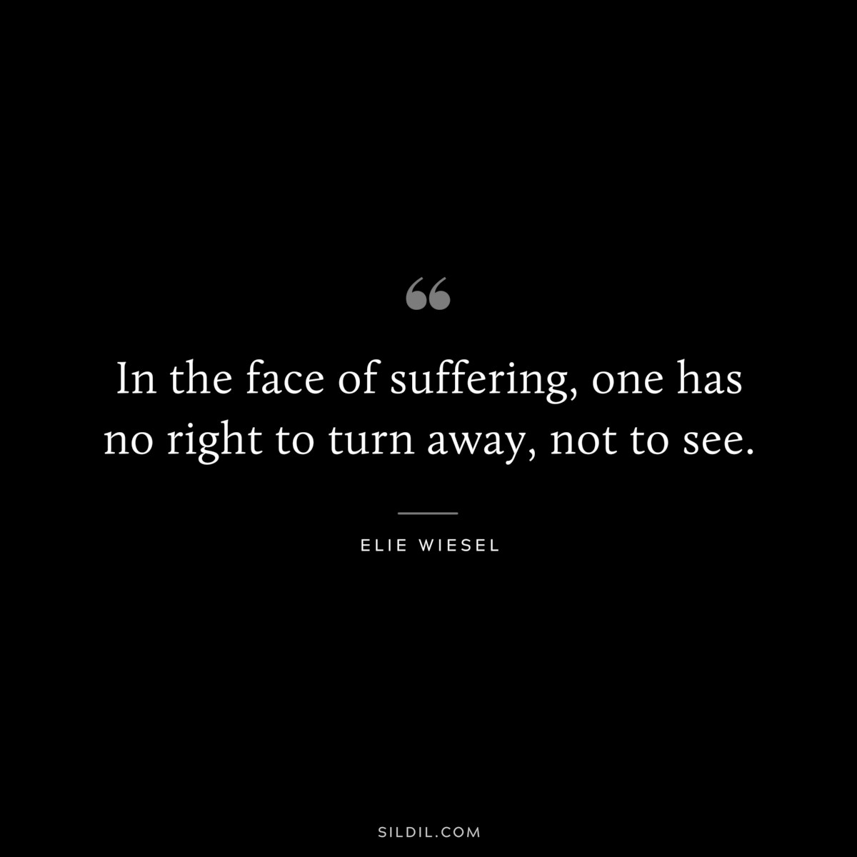 In the face of suffering, one has no right to turn away, not to see. ― Elie Wiesel