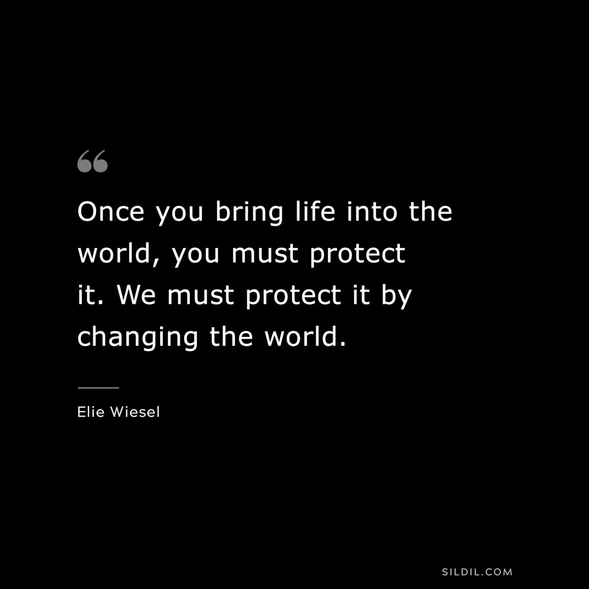 Once you bring life into the world, you must protect it. We must protect it by changing the world. ― Elie Wiesel