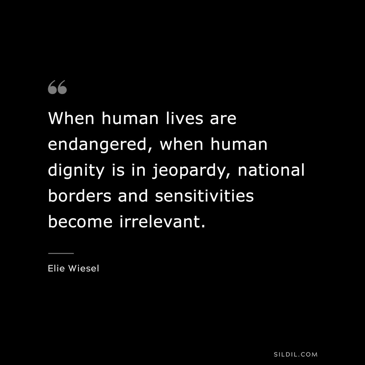 When human lives are endangered, when human dignity is in jeopardy, national borders and sensitivities become irrelevant. ― Elie Wiesel
