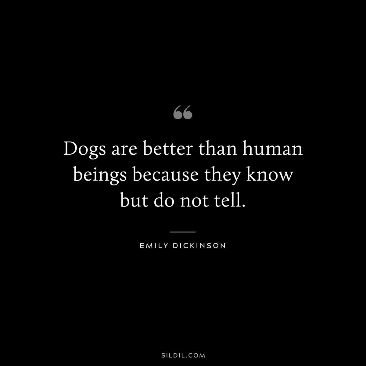 Dogs are better than human beings because they know but do not tell.
