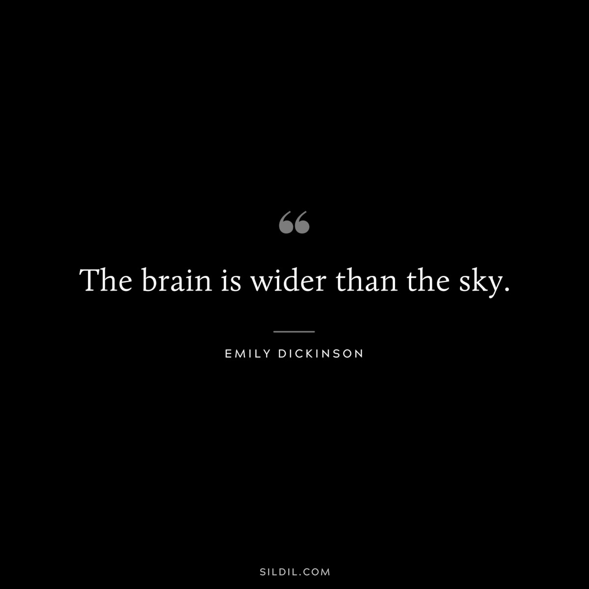 The brain is wider than the sky.
