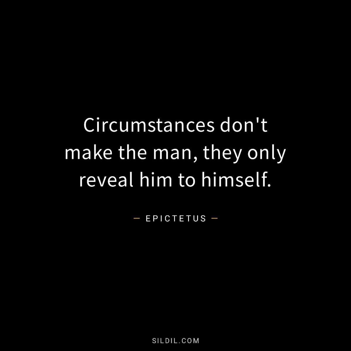 Circumstances don't make the man, they only reveal him to himself.