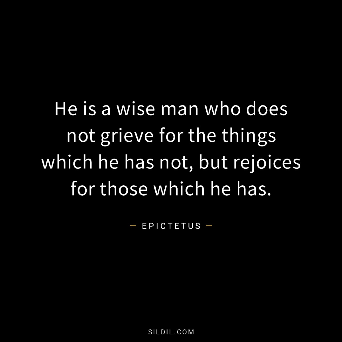 He is a wise man who does not grieve for the things which he has not, but rejoices for those which he has.