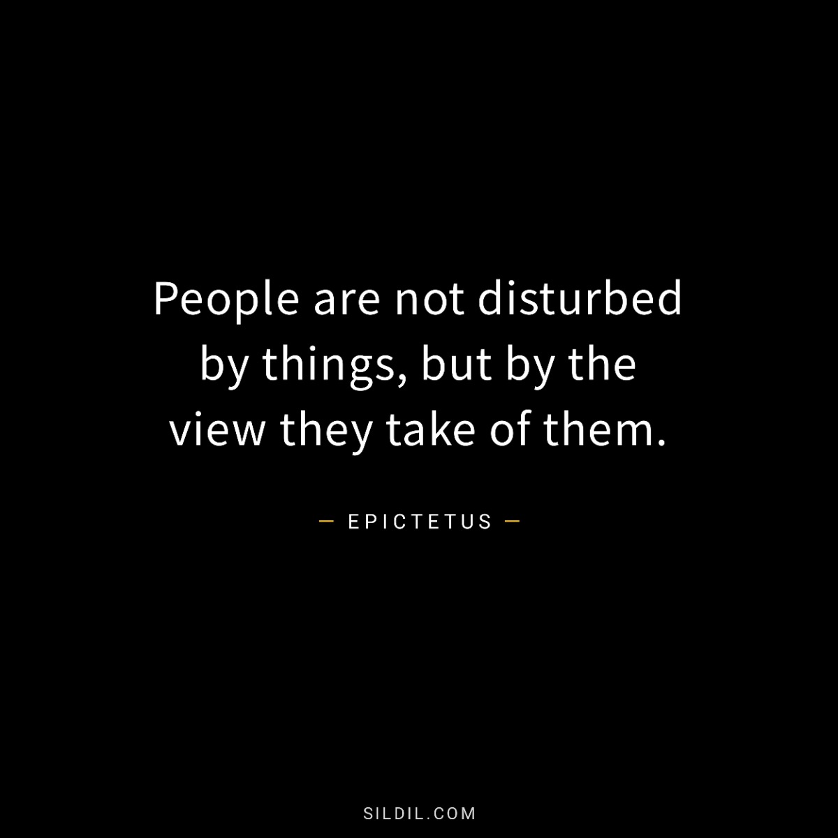 People are not disturbed by things, but by the view they take of them.