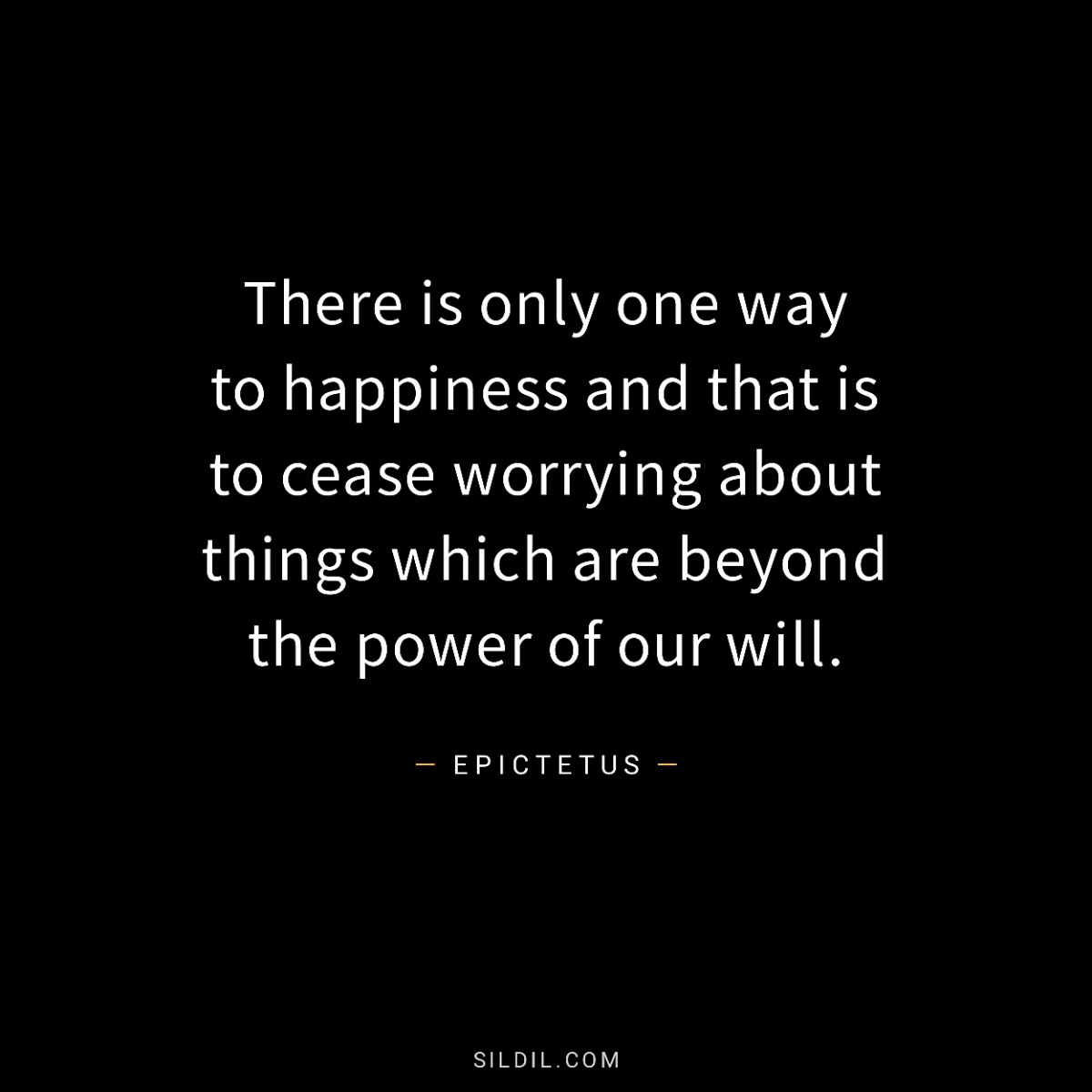 There is only one way to happiness and that is to cease worrying about things which are beyond the power of our will.