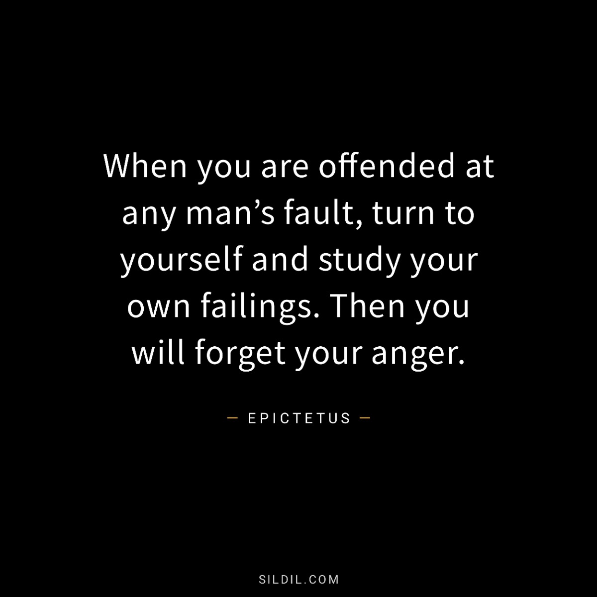 When you are offended at any man’s fault, turn to yourself and study your own failings. Then you will forget your anger.