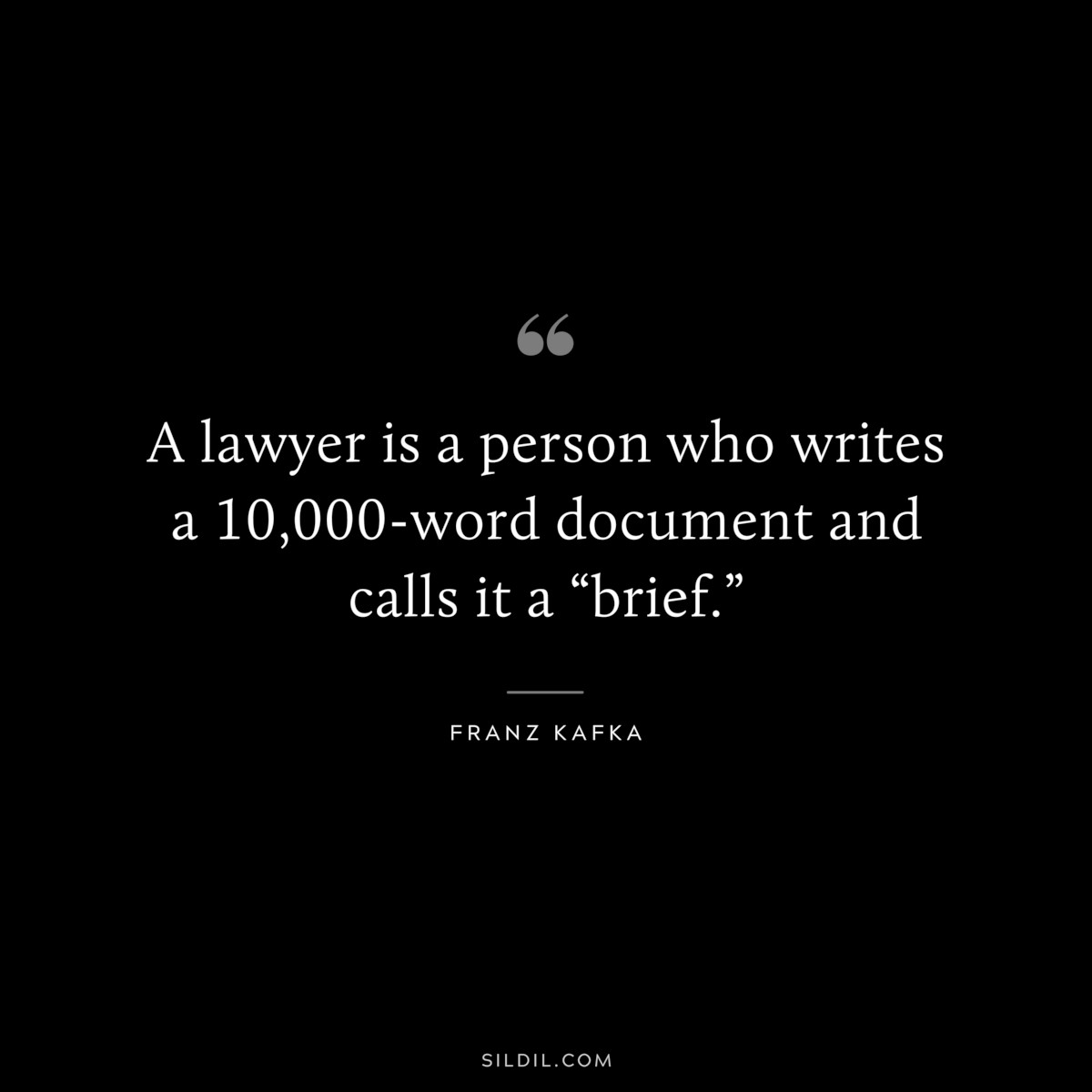 A lawyer is a person who writes a 10,000-word document and calls it a “brief.” ― Franz Kafka
