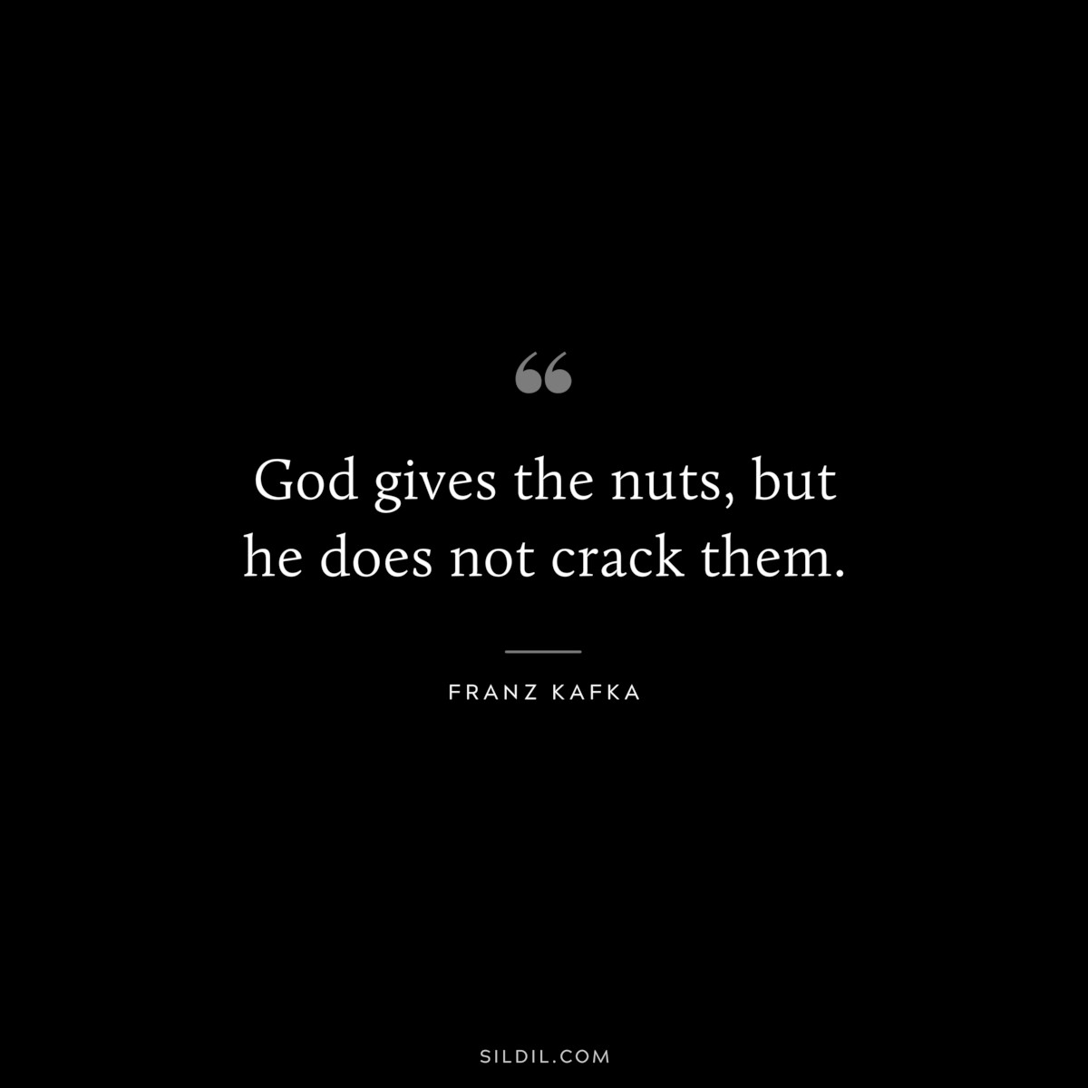 God gives the nuts, but he does not crack them. ― Franz Kafka