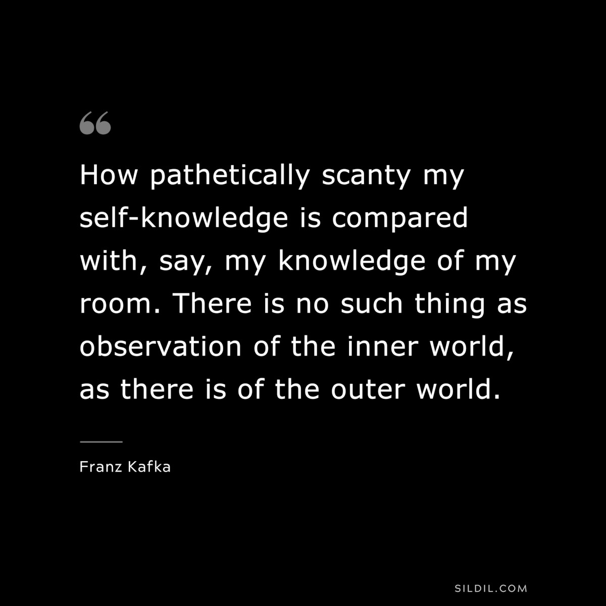 How pathetically scanty my self-knowledge is compared with, say, my knowledge of my room. There is no such thing as observation of the inner world, as there is of the outer world. ― Franz Kafka