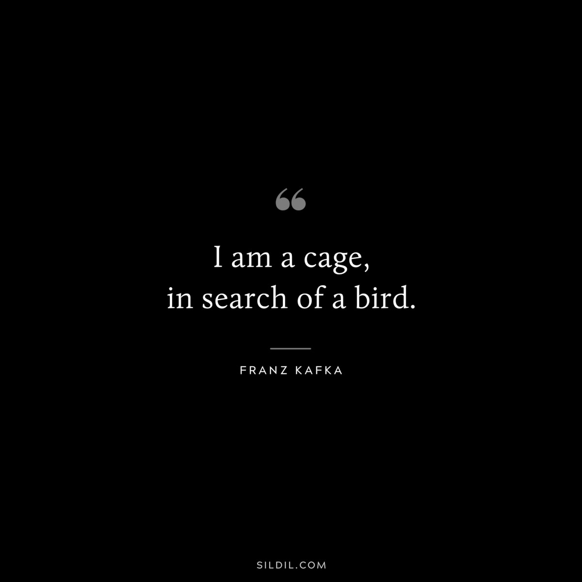 I am a cage, in search of a bird. ― Franz Kafka