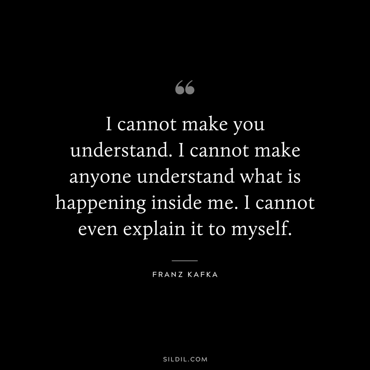 I cannot make you understand. I cannot make anyone understand what is happening inside me. I cannot even explain it to myself. ― Franz Kafka