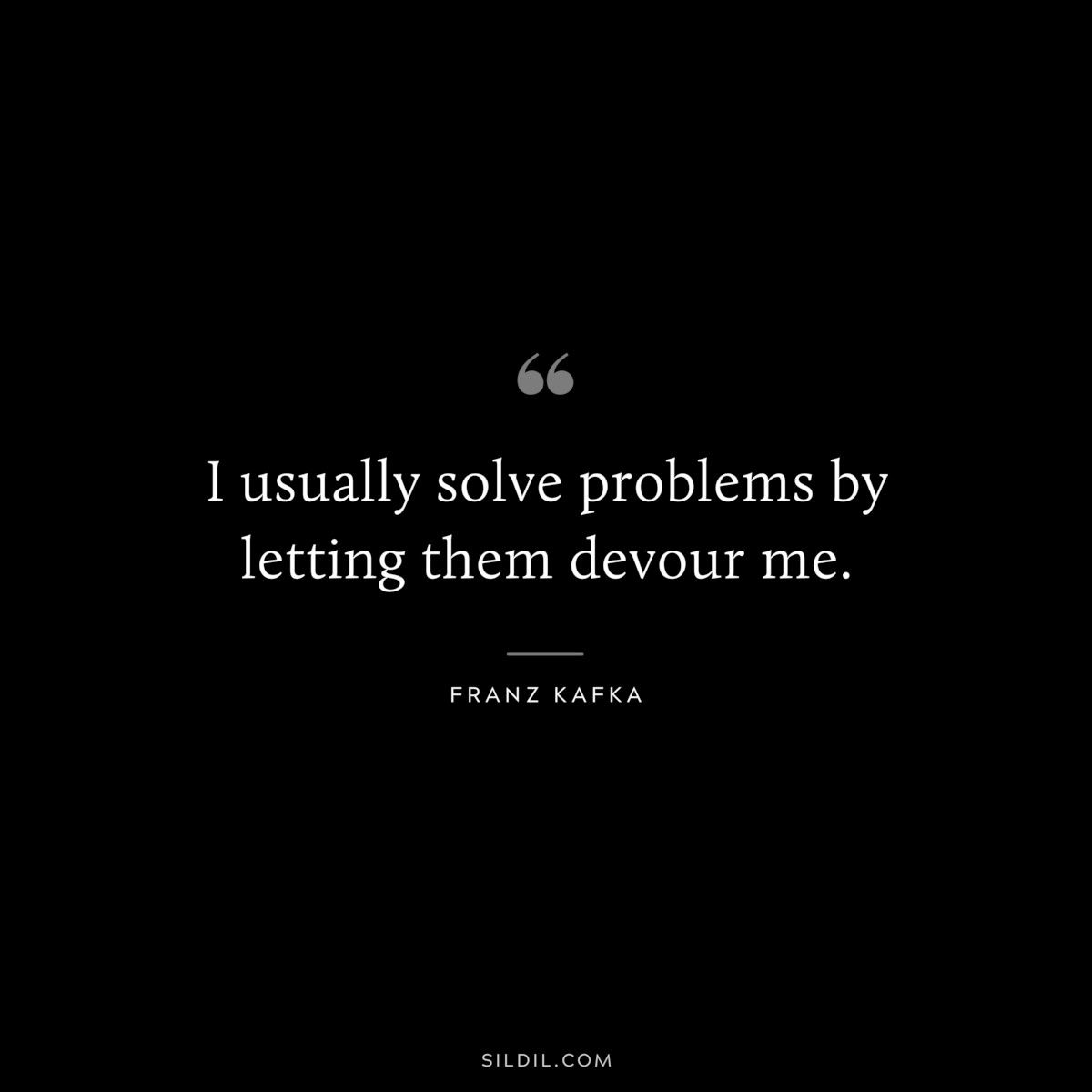 I usually solve problems by letting them devour me. ― Franz Kafka