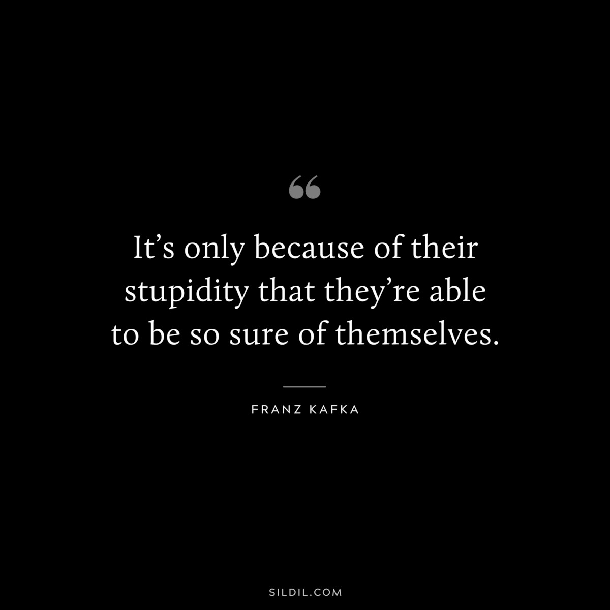 It’s only because of their stupidity that they’re able to be so sure of themselves. ― Franz Kafka