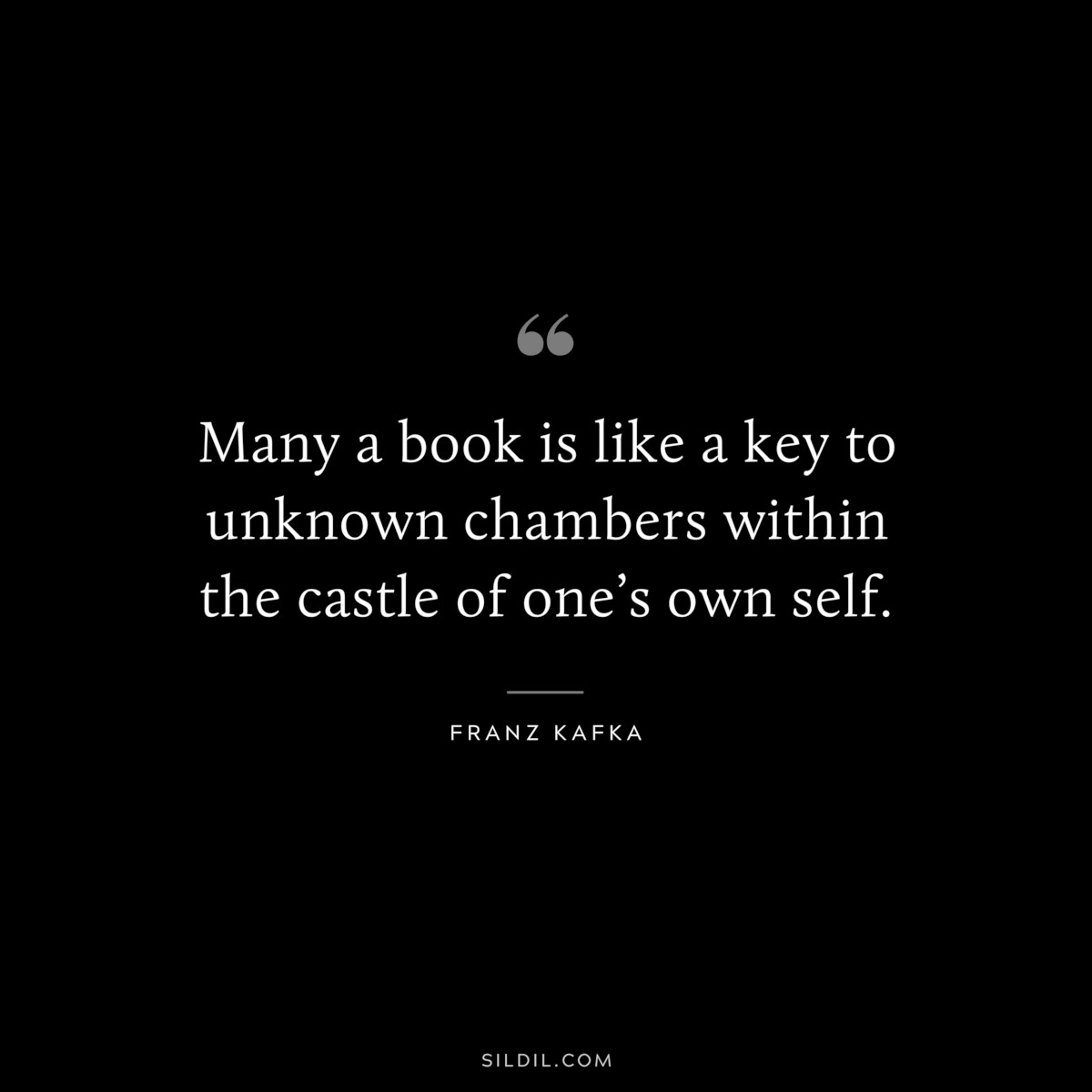 Many a book is like a key to unknown chambers within the castle of one’s own self. ― Franz Kafka