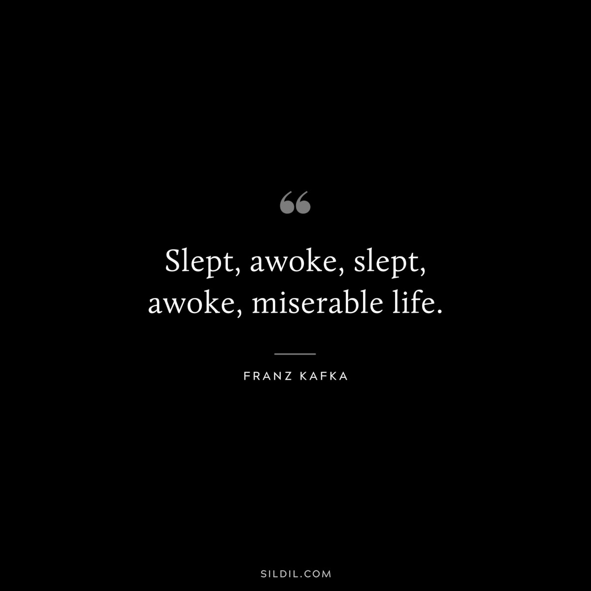 Slept, awoke, slept, awoke, miserable life. ― Franz Kafka