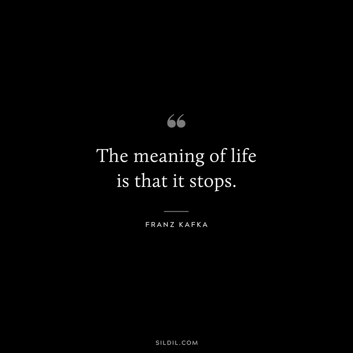 The meaning of life is that it stops. ― Franz Kafka