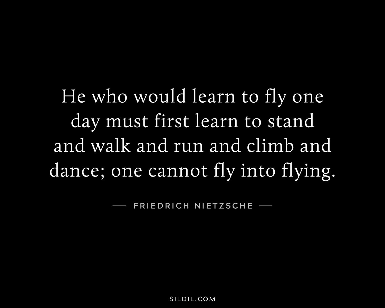 He who would learn to fly one day must first learn to stand and walk and run and climb and dance; one cannot fly into flying.