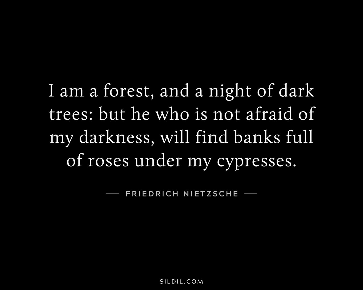 I am a forest, and a night of dark trees: but he who is not afraid of my darkness, will find banks full of roses under my cypresses.