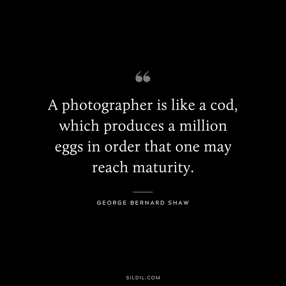 A photographer is like a cod, which produces a million eggs in order that one may reach maturity. ― George Bernard Shaw