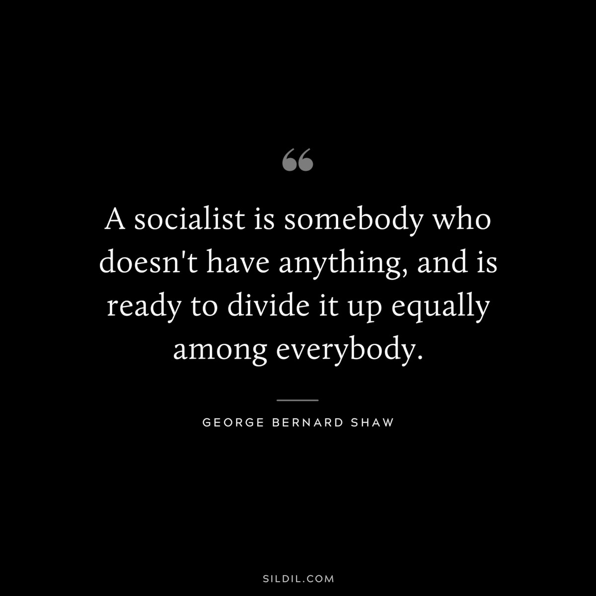 A socialist is somebody who doesn't have anything, and is ready to divide it up equally among everybody. ― George Bernard Shaw