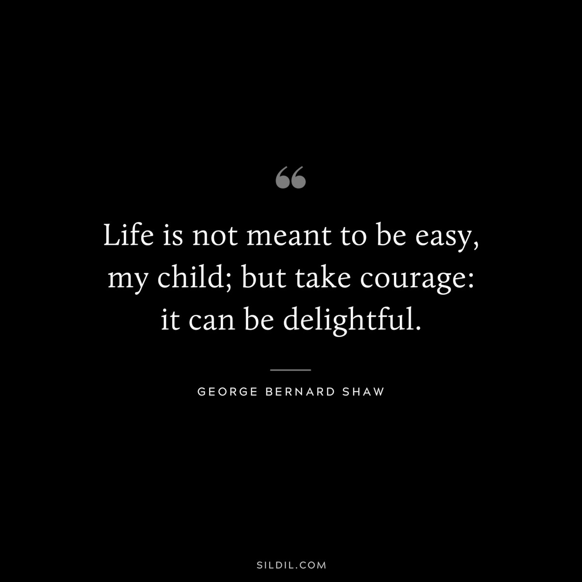 Life is not meant to be easy, my child; but take courage: it can be delightful. ― George Bernard Shaw