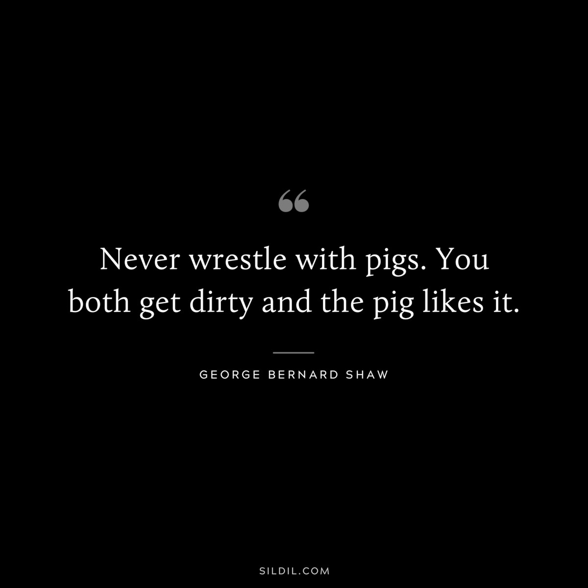 Never wrestle with pigs. You both get dirty and the pig likes it. ― George Bernard Shaw