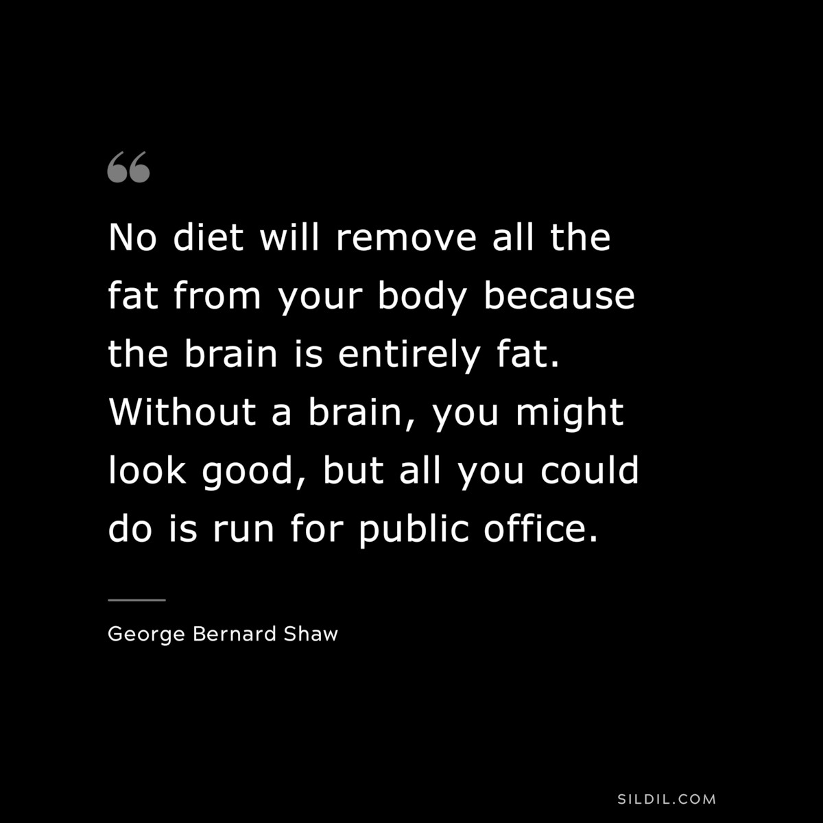 No diet will remove all the fat from your body because the brain is entirely fat. Without a brain, you might look good, but all you could do is run for public office. ― George Bernard Shaw
