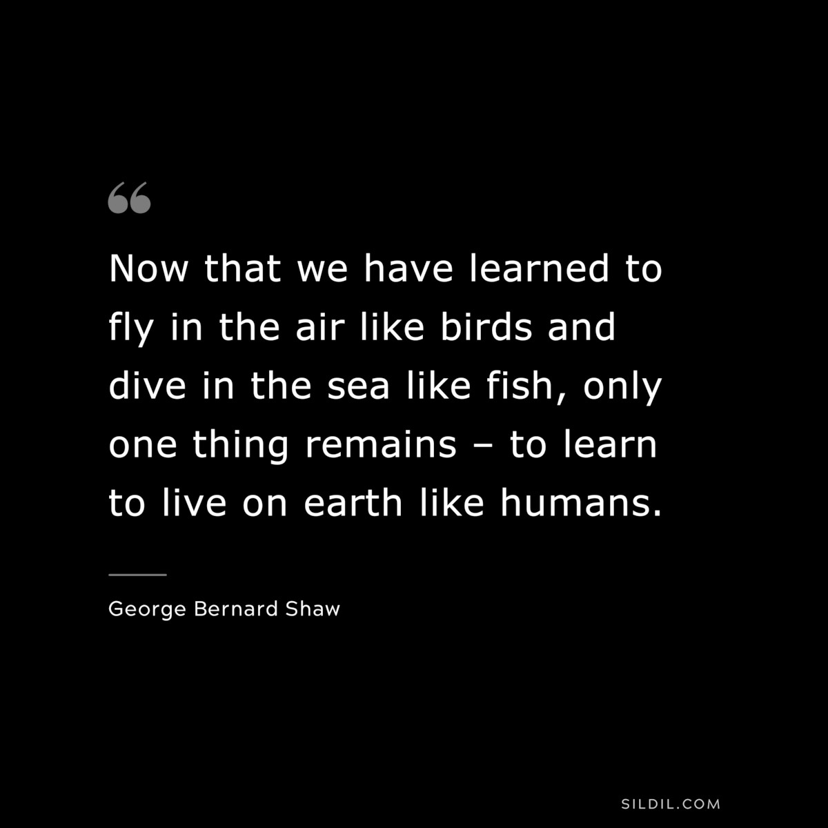 Now that we have learned to fly in the air like birds and dive in the sea like fish, only one thing remains – to learn to live on earth like humans. ― George Bernard Shaw