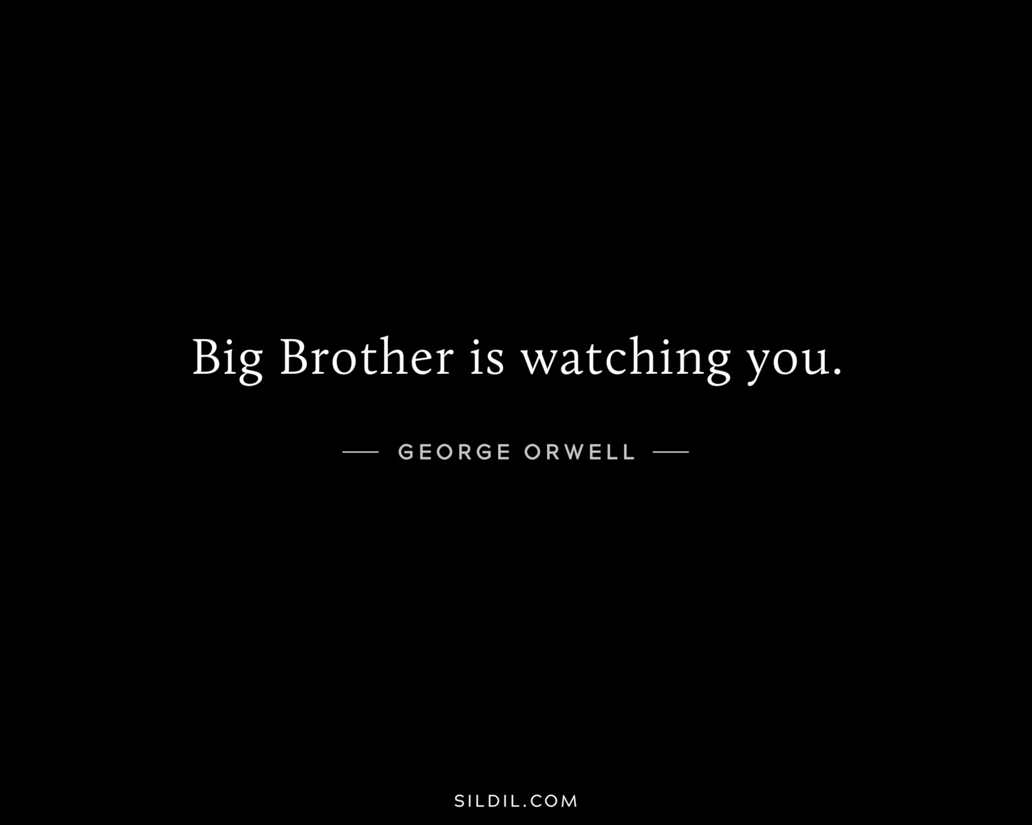 Big Brother is watching you.
