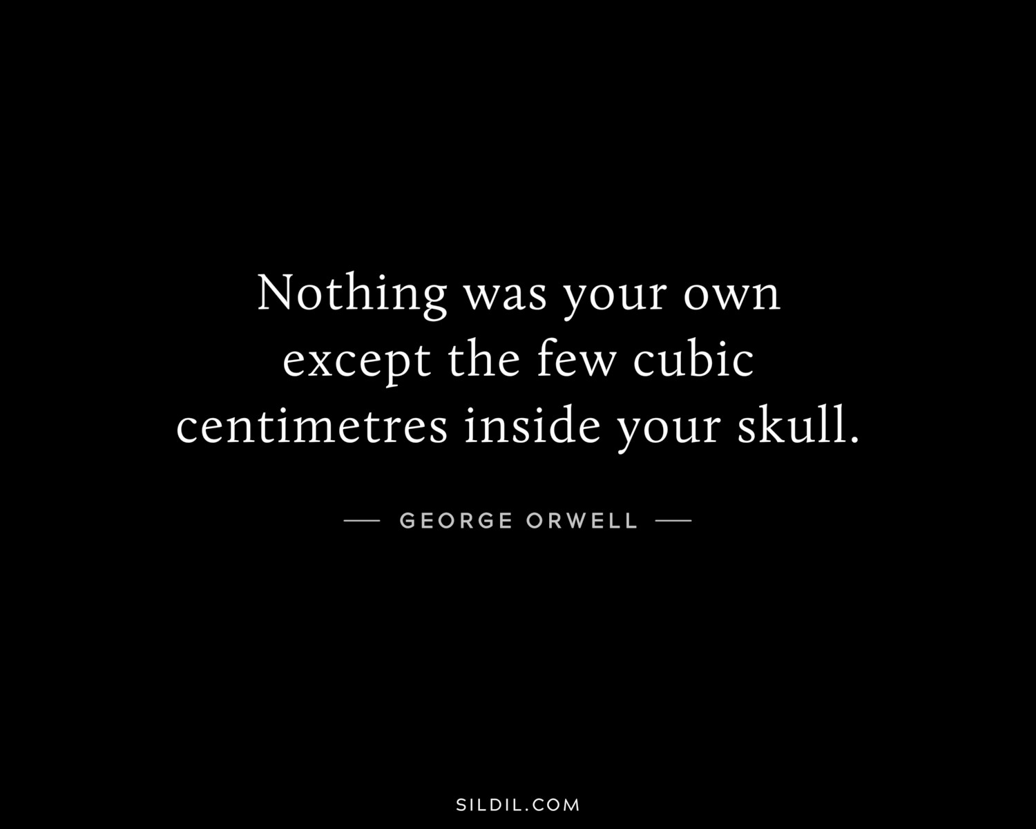 Nothing was your own except the few cubic centimetres inside your skull.