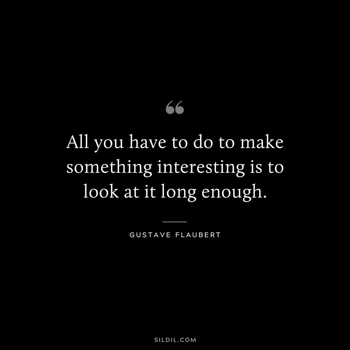 All you have to do to make something interesting is to look at it long enough. ― Gustave Flaubert
