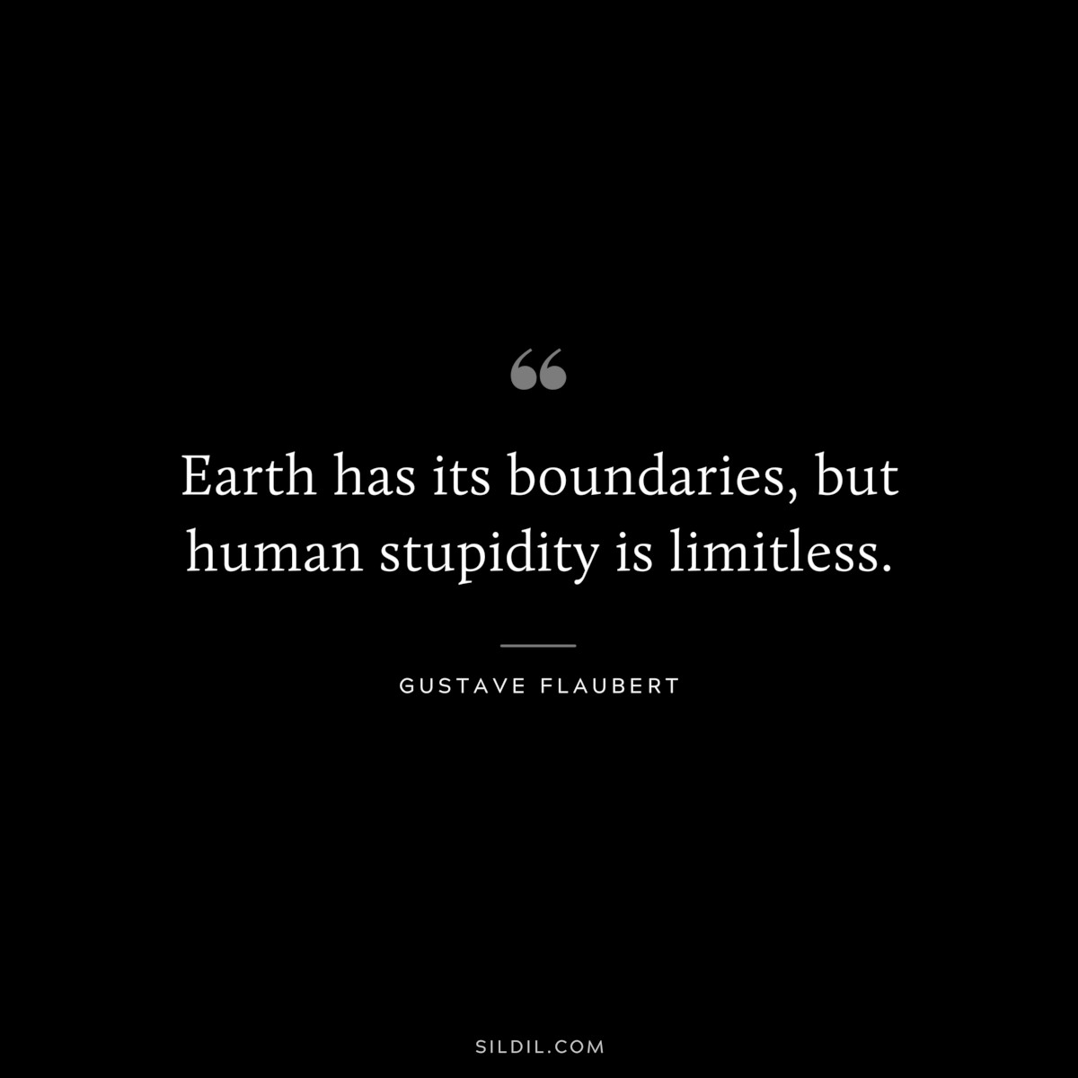 Earth has its boundaries, but human stupidity is limitless. ― Gustave Flaubert