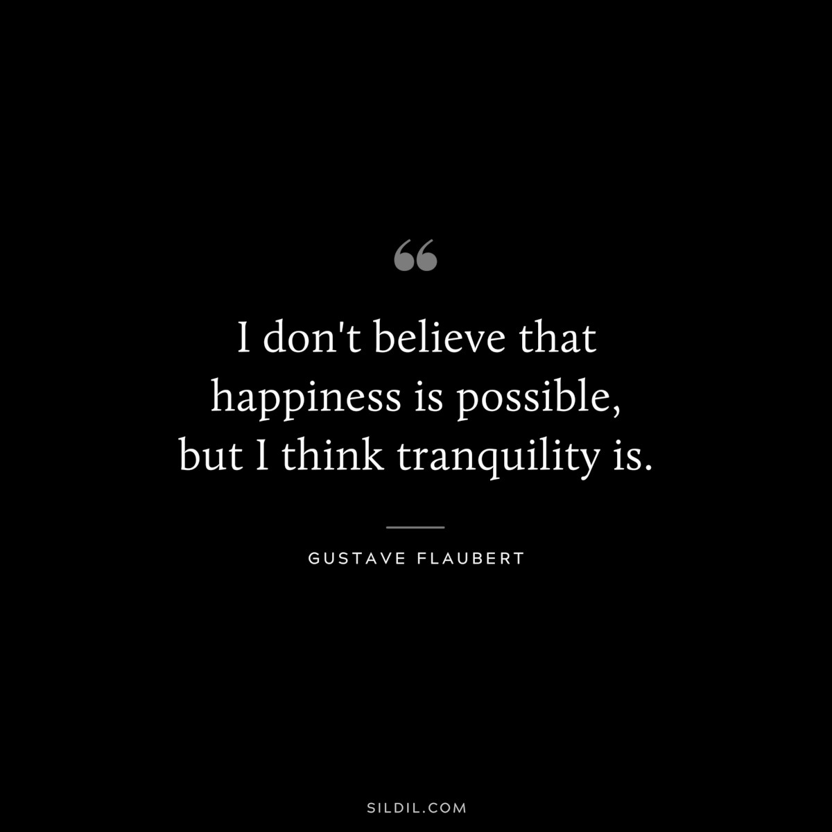 I don't believe that happiness is possible, but I think tranquility is. ― Gustave Flaubert
