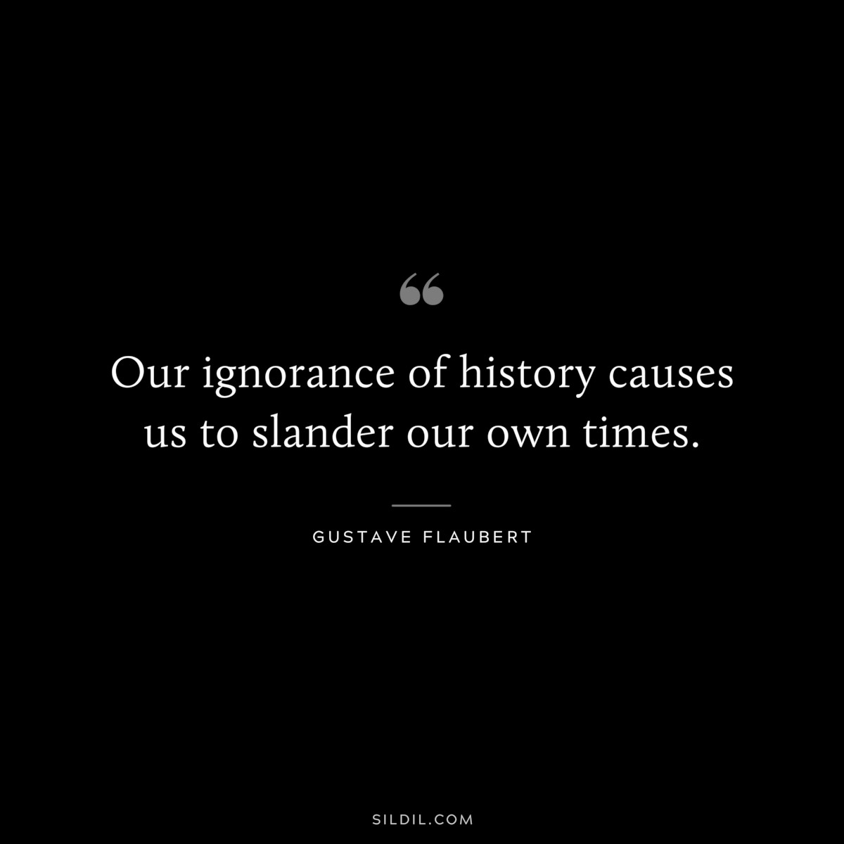 Our ignorance of history causes us to slander our own times. ― Gustave Flaubert