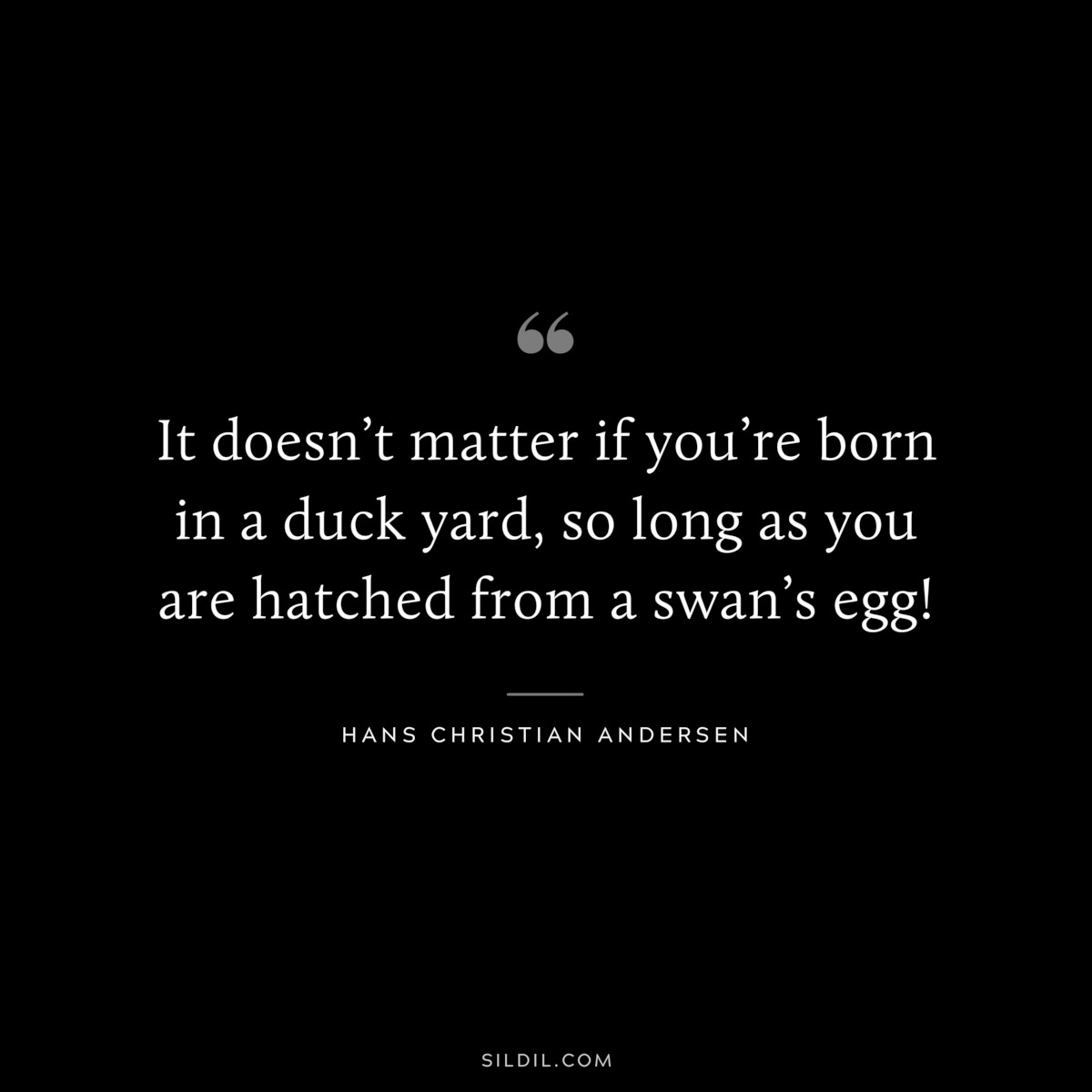 It doesn’t matter if you’re born in a duck yard, so long as you are hatched from a swan’s egg! ― Hans Christian Andersen