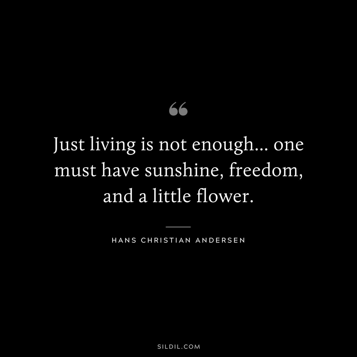 Just living is not enough... one must have sunshine, freedom, and a little flower. ― Hans Christian Andersen