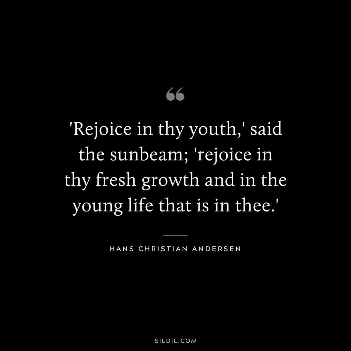 'Rejoice in thy youth,' said the sunbeam; 'rejoice in thy fresh growth and in the young life that is in thee.' ― Hans Christian Andersen