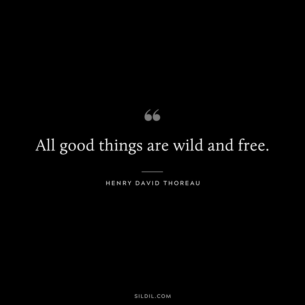 All good things are wild and free. — Henry David Thoreau