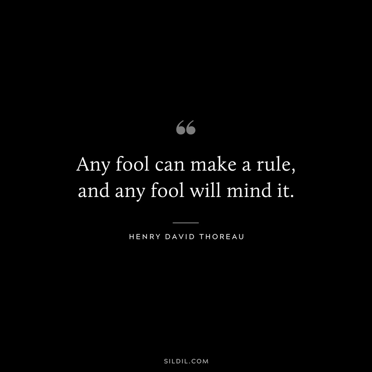 Any fool can make a rule, and any fool will mind it. — Henry David Thoreau