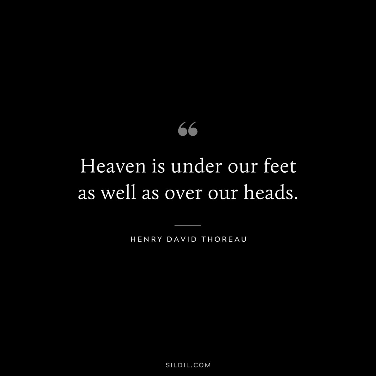 Heaven is under our feet as well as over our heads. — Henry David Thoreau