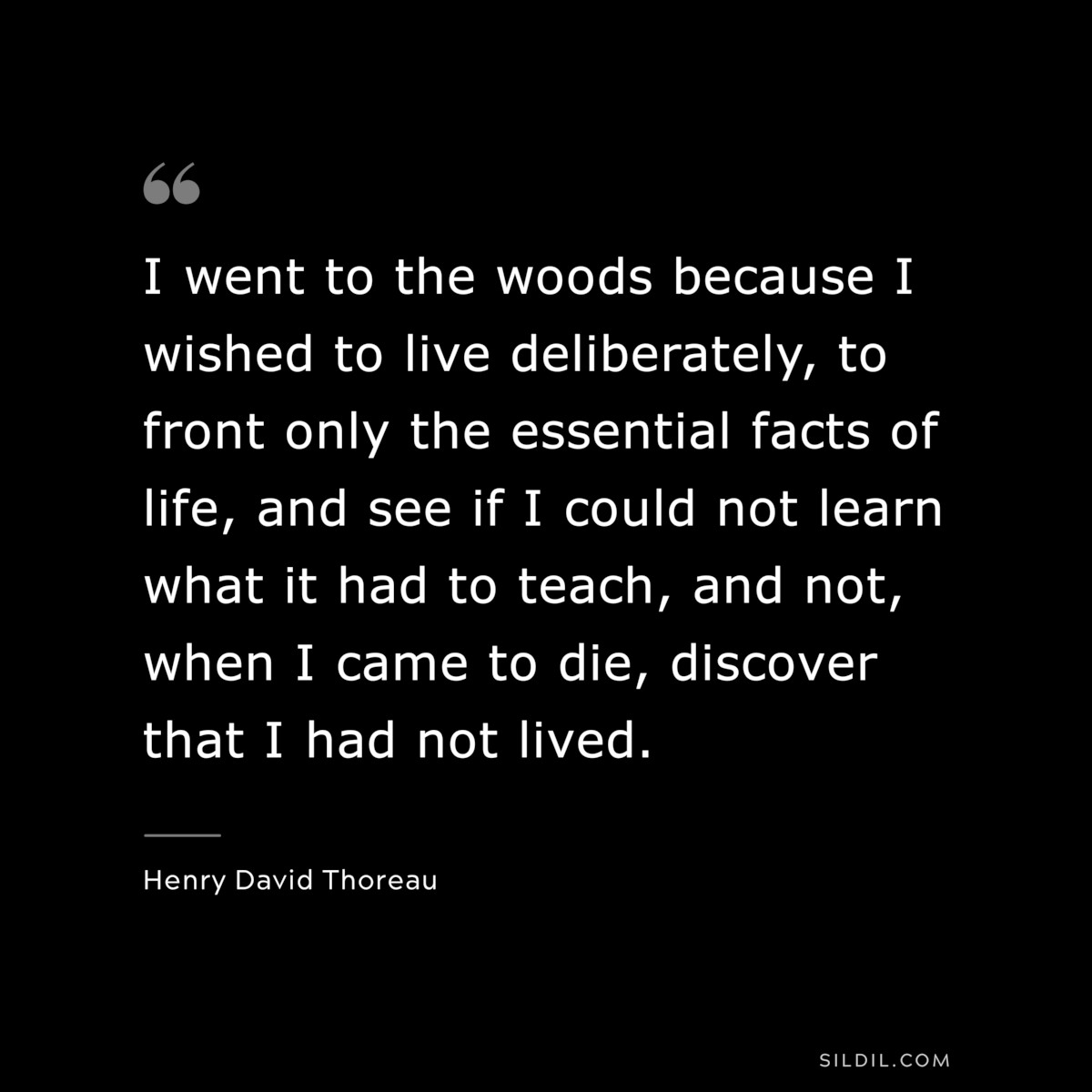 I went to the woods because I wished to live deliberately, to front only the essential facts of life, and see if I could not learn what it had to teach, and not, when I came to die, discover that I had not lived. — Henry David Thoreau