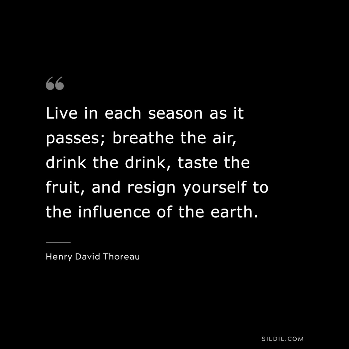 Live in each season as it passes; breathe the air, drink the drink, taste the fruit, and resign yourself to the influence of the earth. — Henry David Thoreau