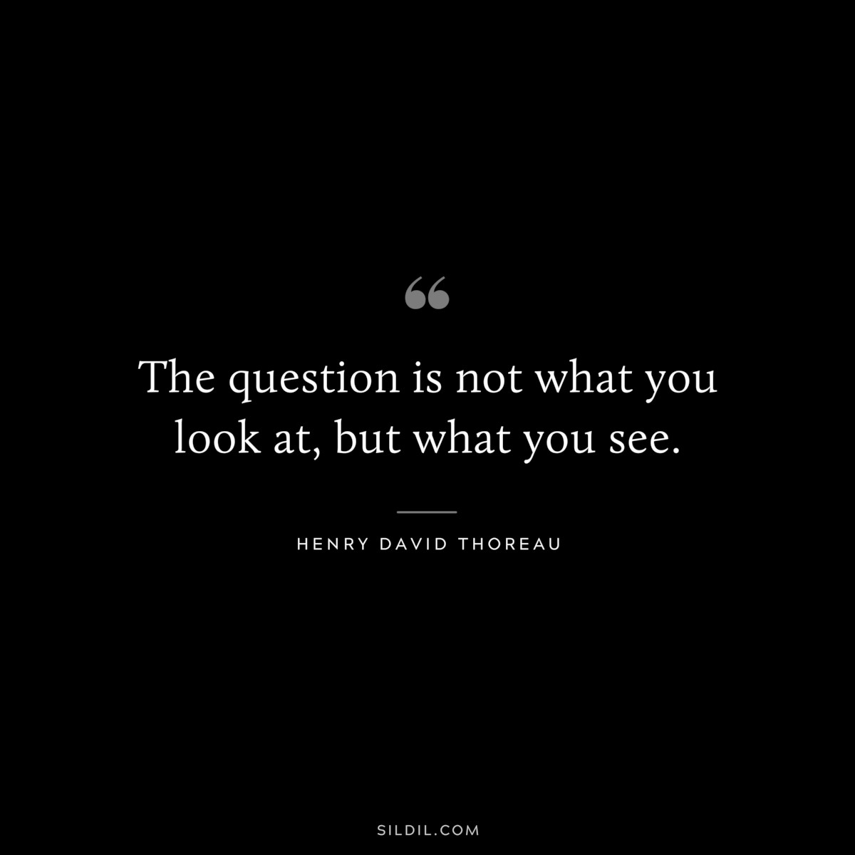 The question is not what you look at, but what you see. — Henry David Thoreau